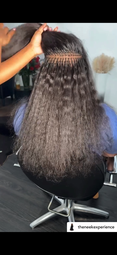 Burmese Curly K-Tips